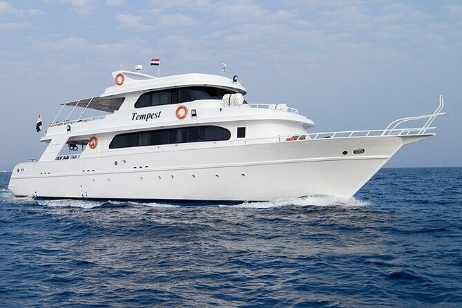 Diving And Snorkeling To Ras Mohamed And White Island By VIP Boat - An In-Depth Look at the Tour