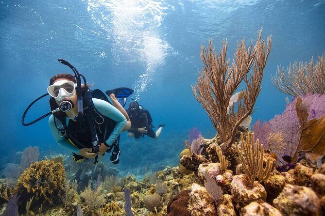 Diving And Snorkeling To Ras Mohamed And White Island By VIP Boat - Final Thoughts