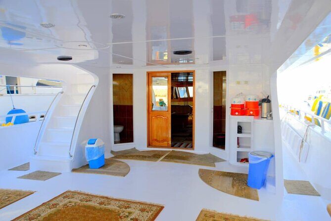Diving And Snorkeling To Ras Mohamed And White Island By VIP Boat - Frequently Asked Questions