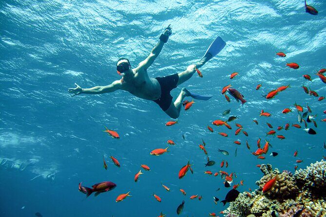 Diving and Visiting Giftun island with Snorkeling Boat Trip - What Makes This Tour Stand Out?