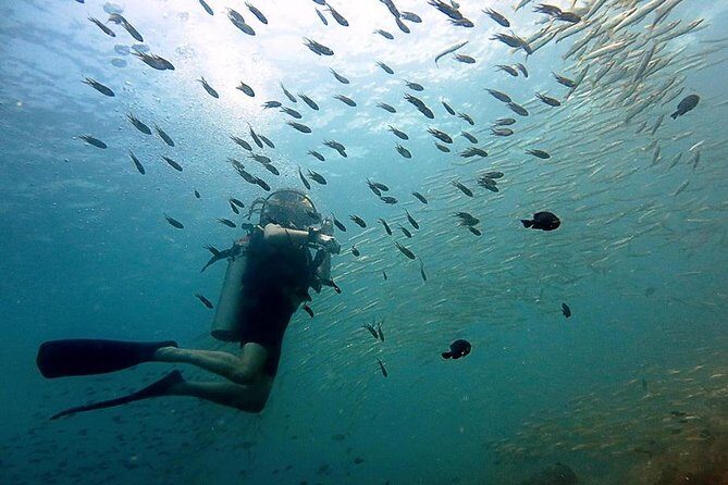 Diving at Koh Chang, daytrip with 2 dives - Who Will Love This Experience?