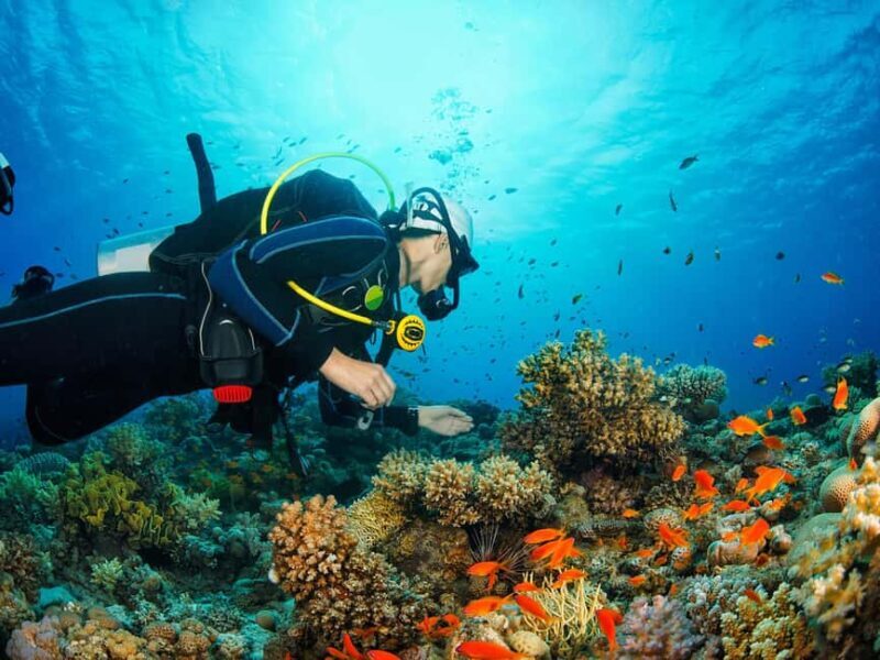 Diving Experience in Khasab - An Introduction to the Experience