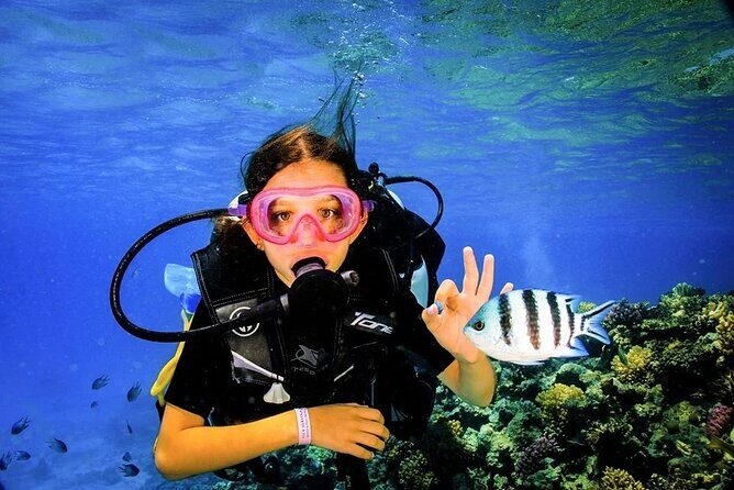 Diving for Beginner Two Dives Boat Trip with transfer in Hurghada - What Makes This Trip Stand Out?