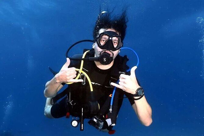 Diving for Beginner Two Dives Boat Trip with transfer in Hurghada - Who Will Love This Experience?