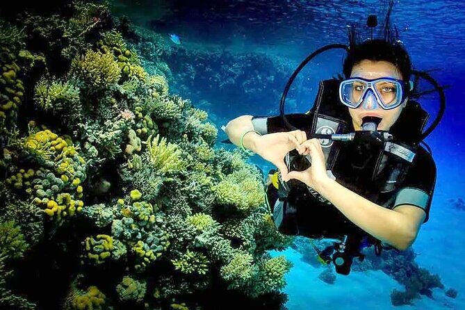 Diving for Beginner Two Dives Boat Trip with transfer in Hurghada - The Sum Up
