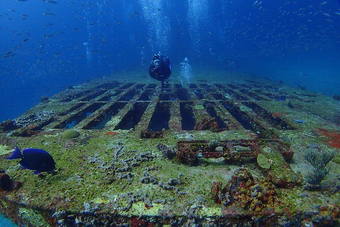 Diving in Cancun for Certified Divers | 2 Dives | All Inclusive - FAQ