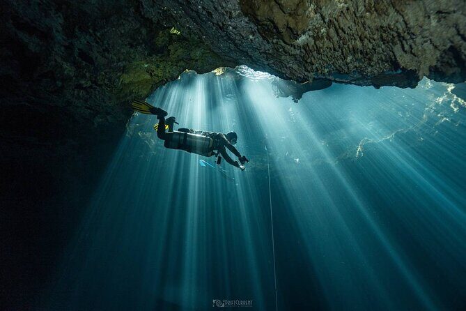 Diving in Cenotes: discovering the Mayan Underworld - Why Choose This Tour?