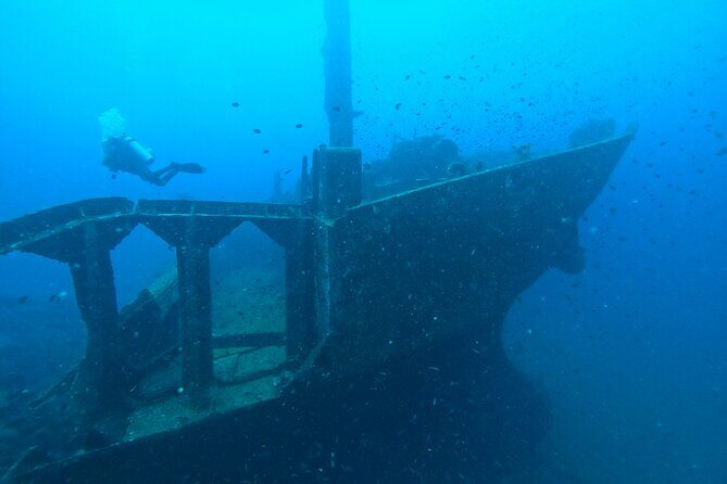 Diving in Colombo - Who Should Consider This Tour?