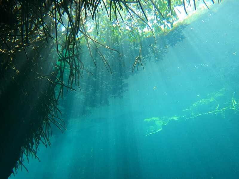 DIVING IN MAYAN CENOTES; THE LARGEST AQUIFER IN THE WORLD - FAQs