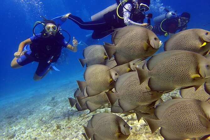 Diving in the Mexican Caribbean for Beginners | 2 Tanks 2 Dives | All Inclusive - Practical Tips for Travelers