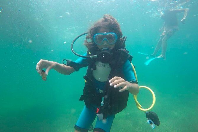 Diving initiation (Initiation) - The Sum Up