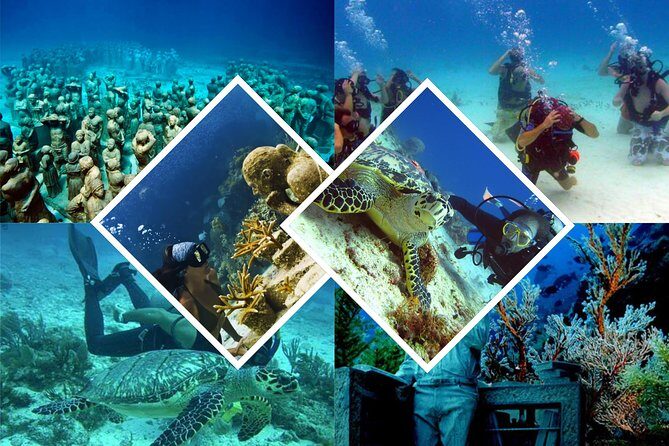 Diving + Muse - FAQs
