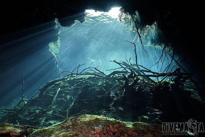 Diving package Cenotes exploration - The Cost & What You’re Getting