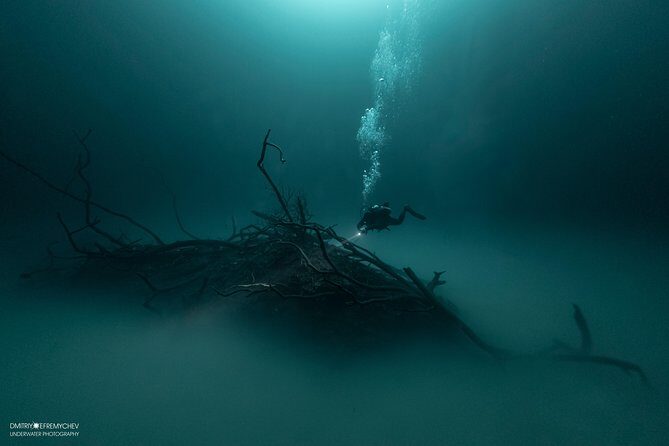 Diving package Cenotes exploration - Authenticity and Traveler Feedback