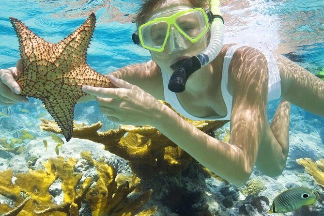 Diving & Snorkeling Boat trip to Tiran Island Sharm El Sheikh - Practical Considerations and Tips