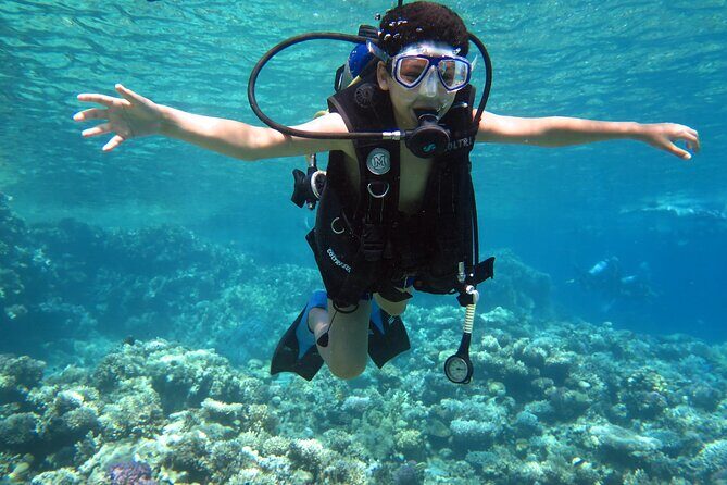 Diving & Snorkeling Boat trip to Tiran Island Sharm El Sheikh - Final Thoughts: Is This the Right Choice for You?