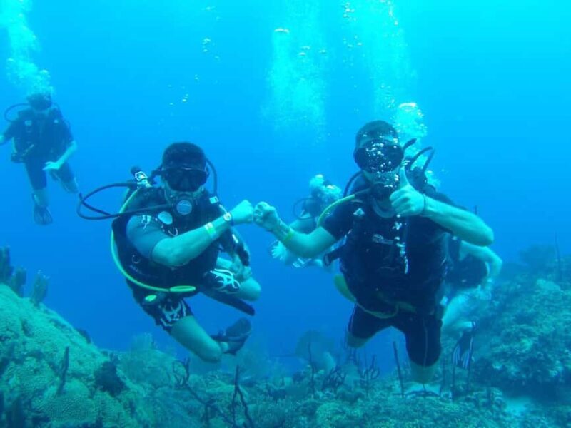 diving without a license catalina island from punta cana - Key Points