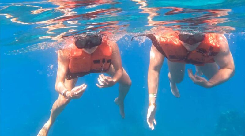 diving without a license catalina island from punta cana - Return Journey and Overall Duration