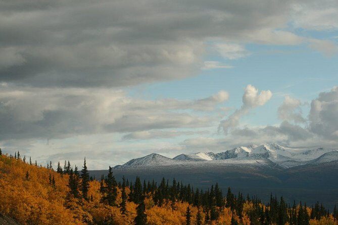DIY Yukon Tour - Practical Tips for Travelers