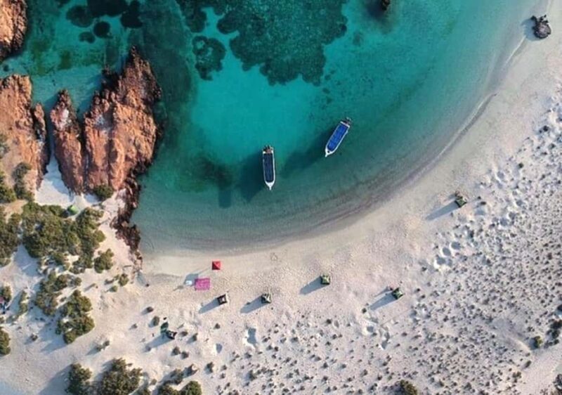 diymaniyat Snorkelling (swim whalesharks or turtles) - Who Should Sign Up?