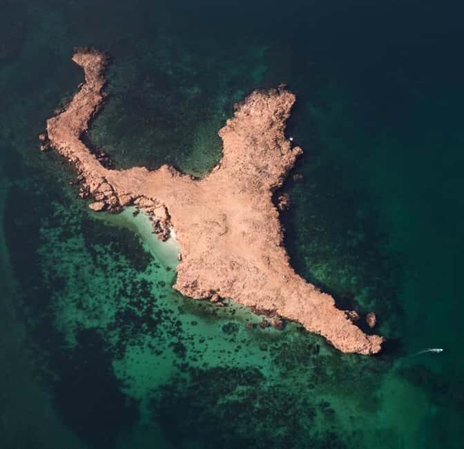 diymaniyat Snorkelling (swim whalesharks or turtles) - Final Thoughts