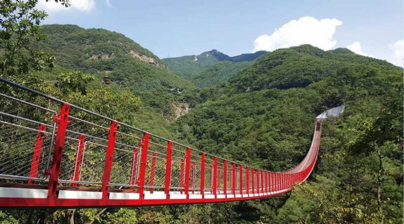 DMZ (3rd Tunnel)+Suspension Bridge Guided Private Tour - Introduction