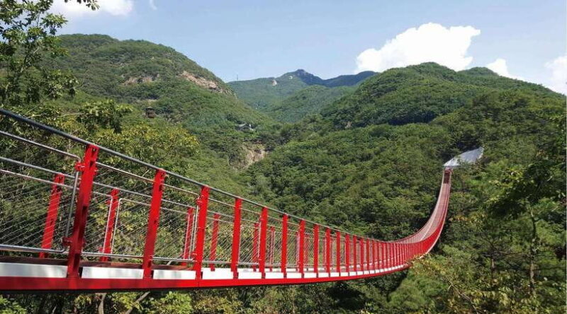 DMZ (3rd Tunnel)+Suspension Bridge Guided Private Tour - Key Points