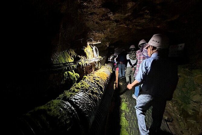 DMZ Tour: 2nd Tunnel with Y-shaped suspension bridge from Seoul - FAQs