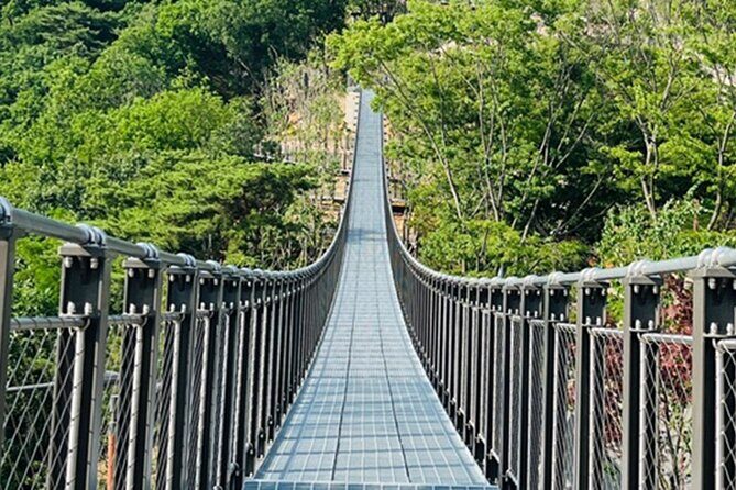 DMZ Tour & Campnic with BBQ Experience - Frequently Asked Questions