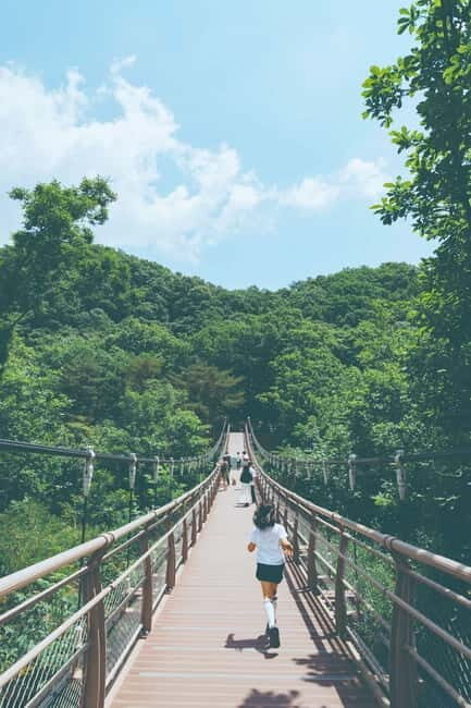 DMZTour from Seoul:3rd Tunnel,North Korea View&UNESCO Valley - Final thoughts: Is this tour worth it?