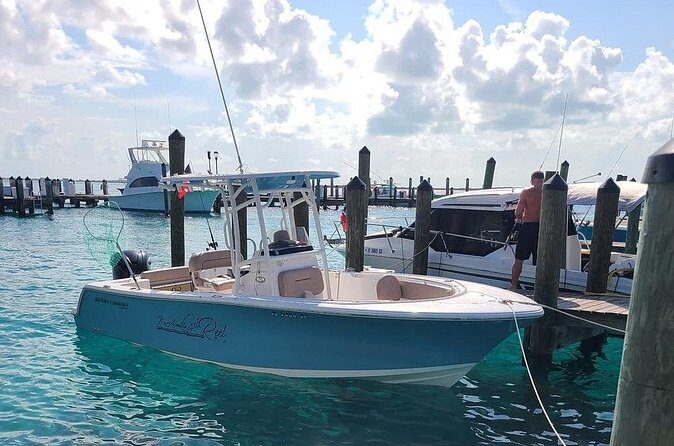 Dock Hop Cruise in Sarasota - Final Verdict