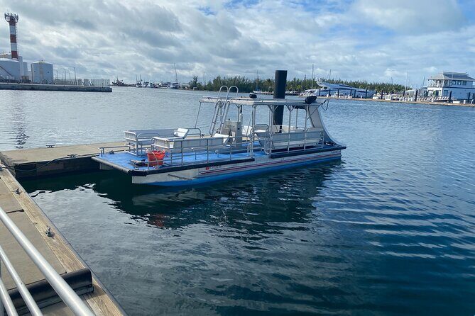 Dock Side Adventure Kayak, Paddle Boarding, Sunfish sailboats - Who Will Love This Tour?