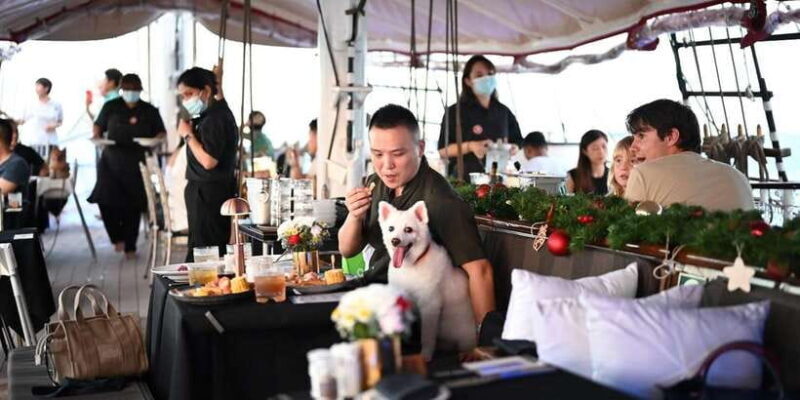Dog Cruise onboard a Tall Ship with 4 Course Meal - Final Thoughts