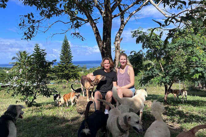 Dog Lover's guided tour of the Happy Tails Sanctuary - Key Points