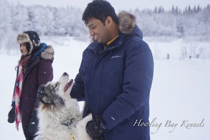 Dog Sled Adventure - The Itinerary Breakdown