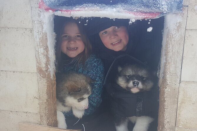Dog Sled Adventure - What Travelers Are Saying