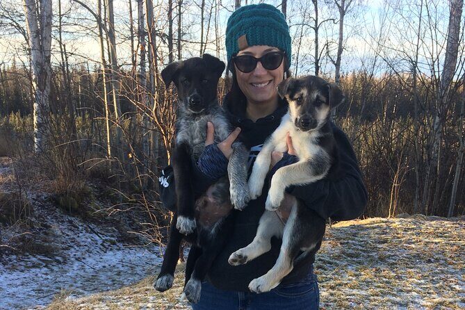 Dog Sledding Adventure in Willow, Alaska - End of the Tour and Final Touches