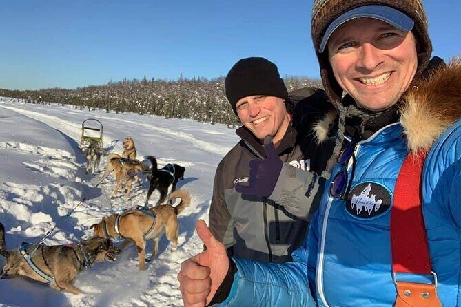 Dog Sledding Adventure in Willow, Alaska - Analyzing the Value and Booking