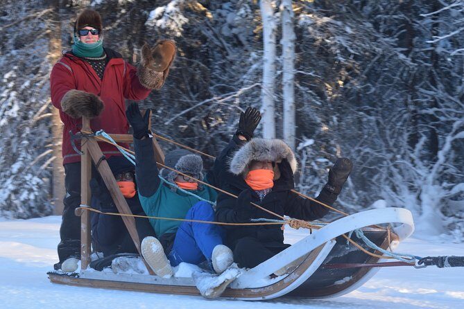 Dog Sledding and Mushing Experience in North Pole - What to Expect on Your Dog Sledding Adventure
