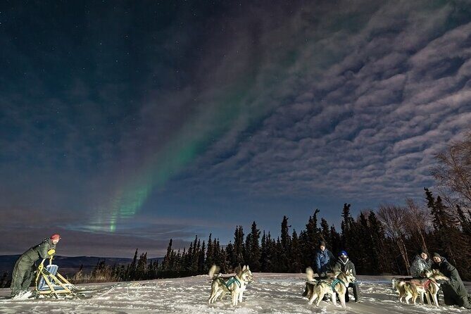 Dog Sledding and Northern Lights Combo Night - Review of the Dog Sledding and Northern Lights Combo Night Tour in Fairbanks
