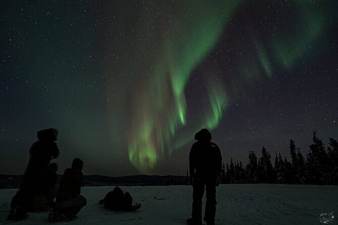 Dog Sledding and Northern Lights Combo Night - Aurora Viewing and Photography