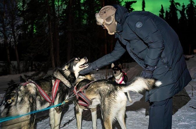 Dog Sledding and Northern Lights Combo Night - What’s Included and What You Should Know