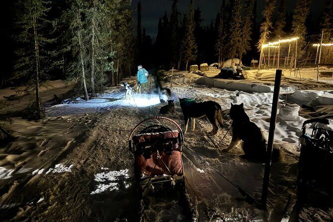 Dog Sledding and Northern Lights Combo Night - The Itinerary Breakdown