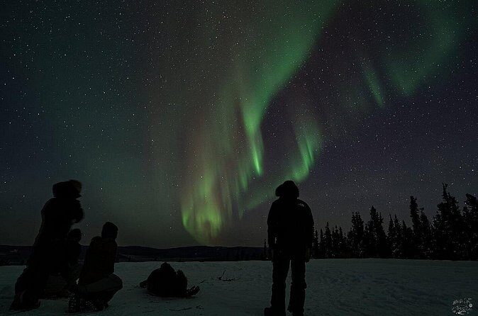 Dog Sledding and Northern Lights Combo Night - Authentic, Practical, and Value-Driven
