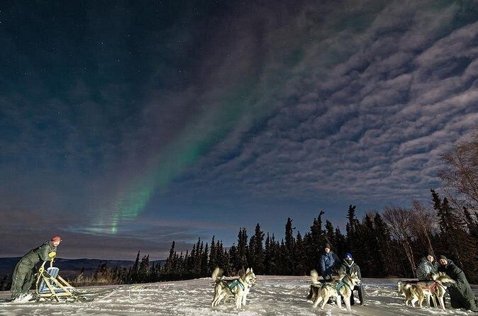 Dog Sledding and Northern Lights Combo Night - Who Will Love This Tour