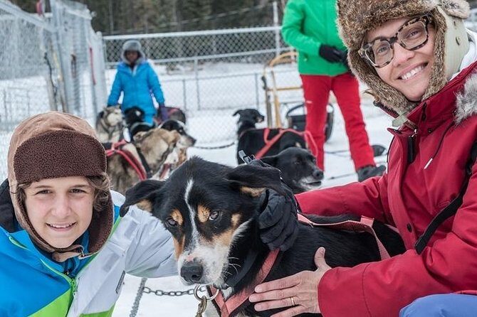 Dog Sledding - Subarctic Wilderness Tour - Key Points