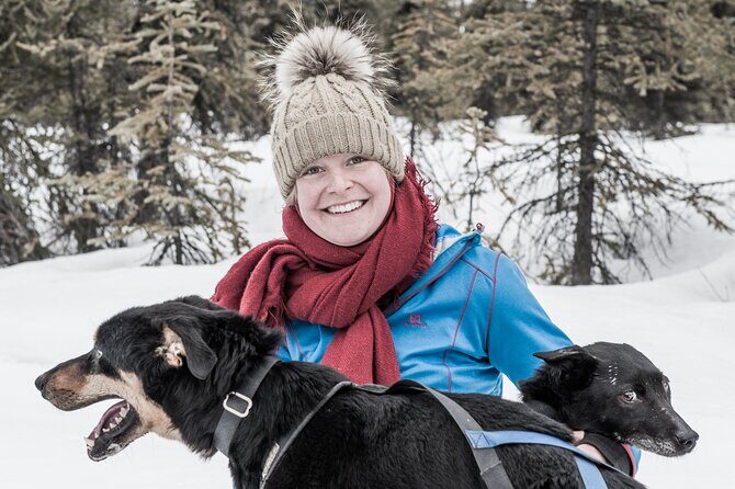 Dog Sledding - Subarctic Wilderness Tour - Introduction: An Adventure in the Alaskan Wilderness