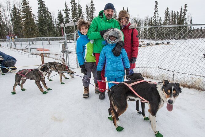 Dog Sledding - Subarctic Wilderness Tour - Final Thoughts: Who Should Consider This Tour?