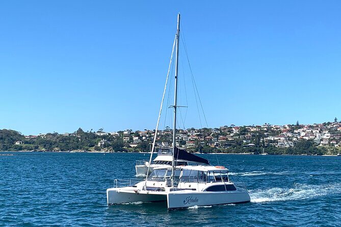 Dogs on Deck Harbour Cruise - Practical Details & Considerations