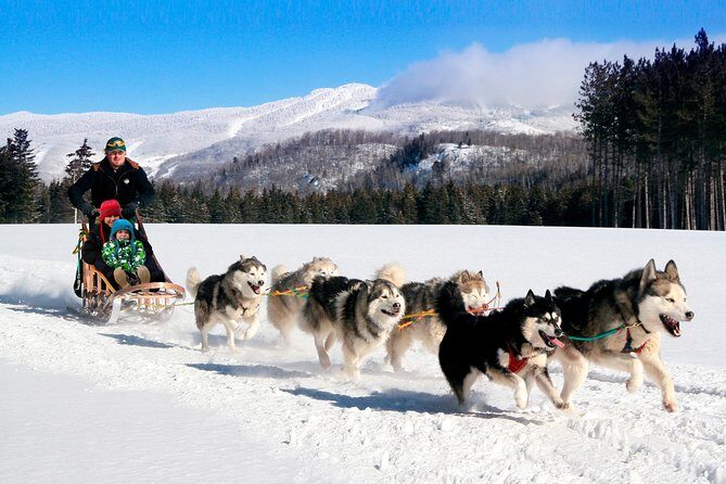 Dogsled Adventure in Mont-Tremblant - What to Expect During Your Dogsled Adventure